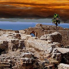 photo "Life on the ruins"