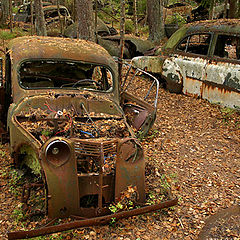 photo "Long term parking ???"