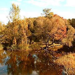 photo "The present autumn."