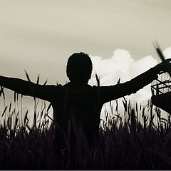 photo "freedom"