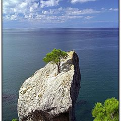 photo "on a rock..."