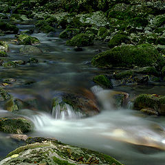 photo "Mountain river"