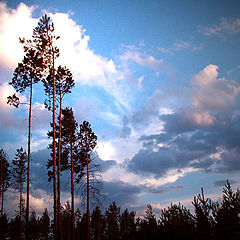 photo "Before a thunder-storm"