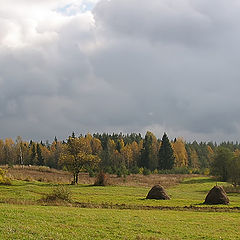 фото "... Осень ..."