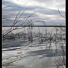 photo "Leaden water"