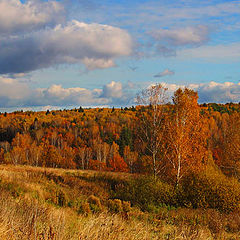 photo "Autumn tints"