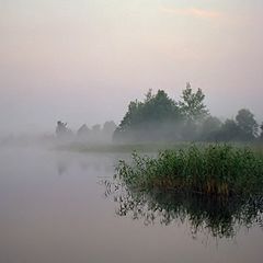 фото "Утренний туман"