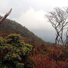 photo "fall in the mountains"