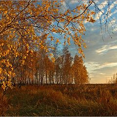 фото "Червоный Занавес"