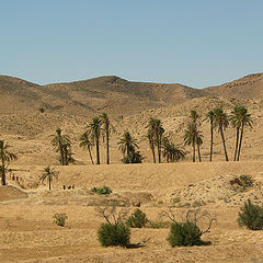 photo "Mountain landscape (North Africa)"
