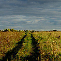 фото "Дорога домой"