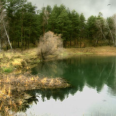 photo "The autumn a hand will touch..."