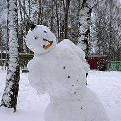фото "снежный человек"