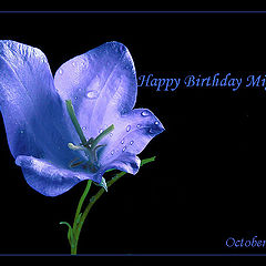 photo "Happy Birthday Miguel"