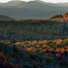 фото "Adirondack Fall Light"