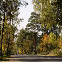 фото "дорога"