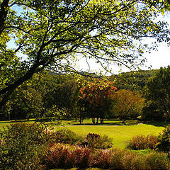 photo "Changing leaves"