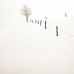 photo "white out"