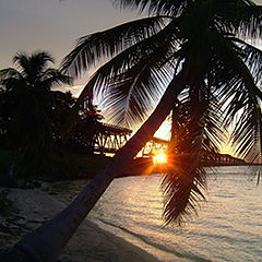 photo "Florida Keys"