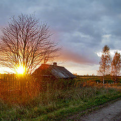 photo "October picture with the last Sun beam"