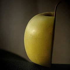 фото "Still life"