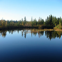 фото "Woodland pond"