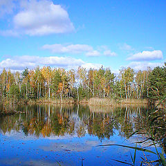 фото "Последние краски осени"