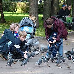 photo "Feeding of pigeons"