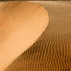 photo "Desert ornament"