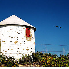 фото "The White House"