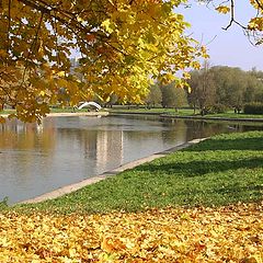 photo "Colors of Autumn"