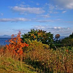 photo "Fall at Trondheim Fjord"