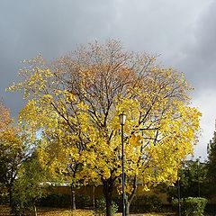 фото "..всё(((((...кончилась золотая осень...."