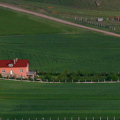 photo "red house in the field"