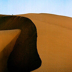 photo "Ornaments of great Thar desert"