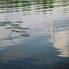 photo "On Silver lake"