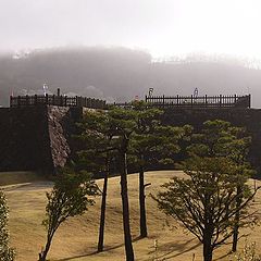 photo "morning in japanese castle"