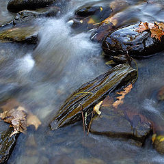 photo "Rocks"