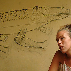 фото "crocodile"