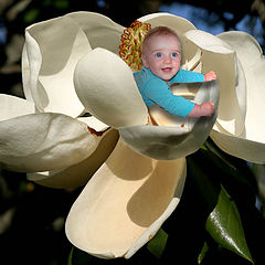 photo "baby playing in the garden"