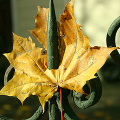 фото "Осень"