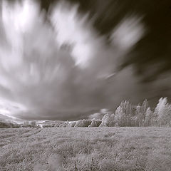 photo "Landscape in an IR spectrum – 4"