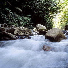 photo "THE Ghyll,The Cobblestone VER2"