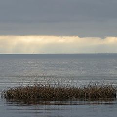 фото "Финский залив"