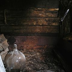 photo "In bowels of the deserted shed"