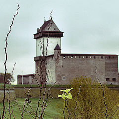 фото "нарвский замок"