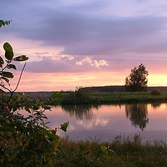 photo "Evening on a pond"