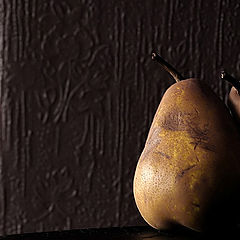 фото "Still life"