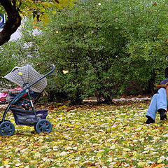 фото "осенние зарисовки.#1"