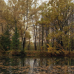 photo "Lake"